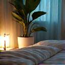 Um quarto aconchegante com cama arrumada, luz suave e uma planta, simbolizando sono e recuperação.
